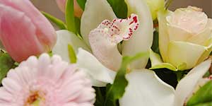 Flower Arrangements