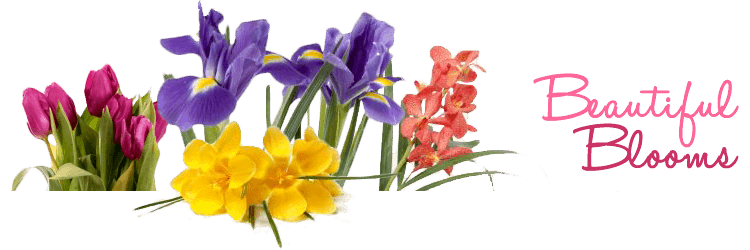 Beautiful Blooms Logo