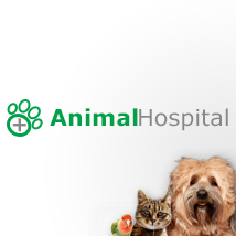 Animal Hospital