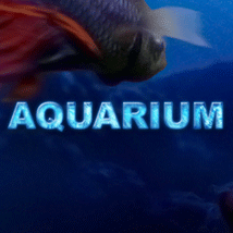 Aquarium